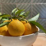 Apartment Orange *