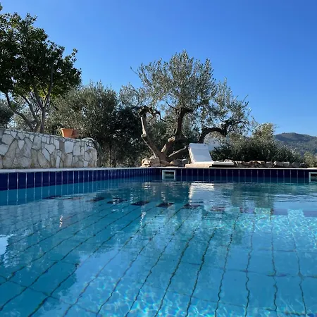 Orange * Epano Epidhavros