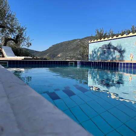 Orange Epano Epidhavros