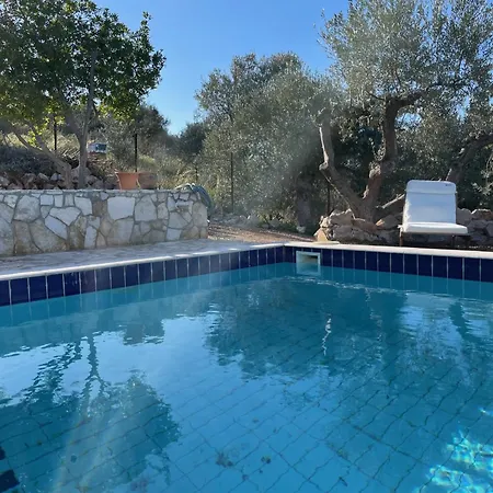 Orange Апартаменты *