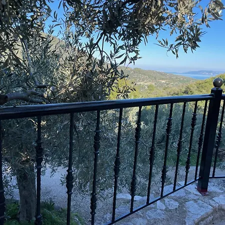 Апартаменты Orange *