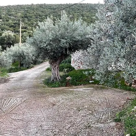 Orange Апартаменты