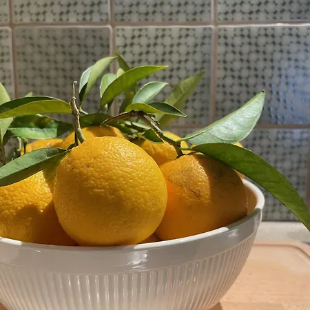 Apartamento Orange *