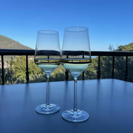 Апартаменты Orange