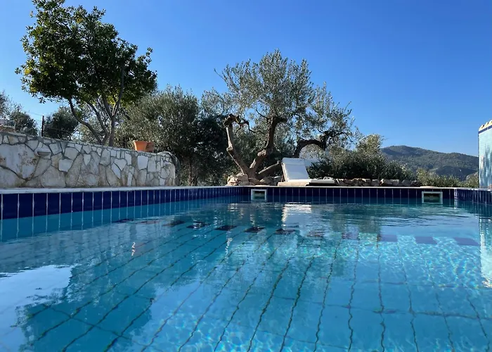 Orange * Epano Epidhavros